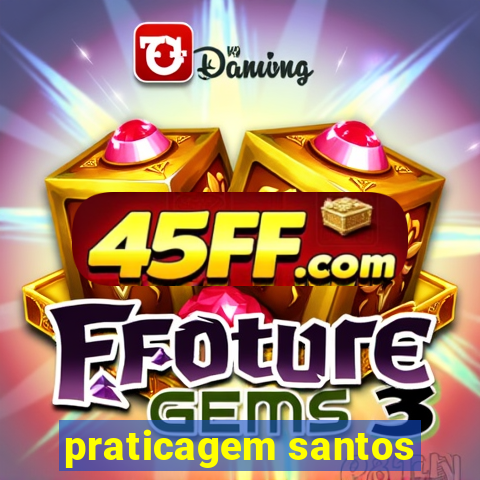 praticagem santos